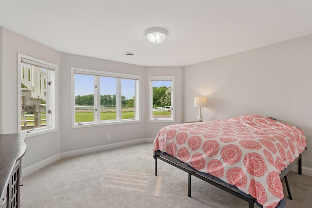 13380 Willandale Rd, Rogers, MN 55374 - bedroom with light carpet and baseboards