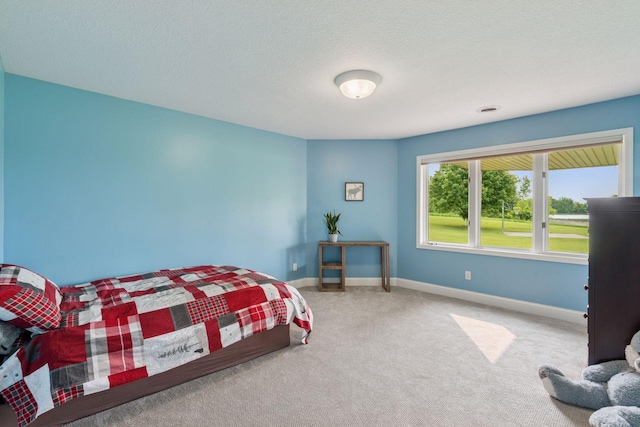 13380 Willandale Rd, Rogers, MN 55374 - bedroom featuring carpet flooring, baseboards, and a textured ceiling