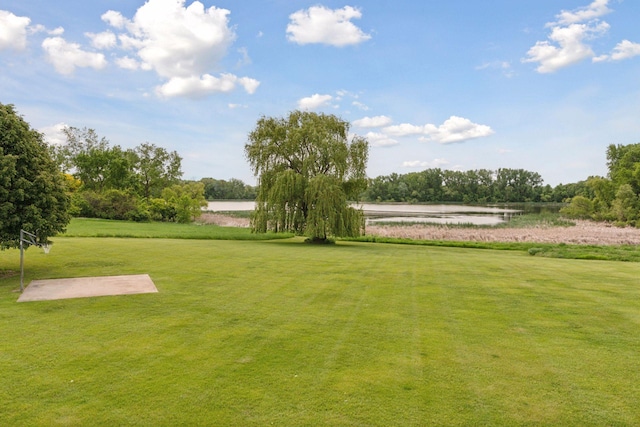 13380 Willandale Rd, Rogers, MN 55374 - view of green lawn featuring a water view