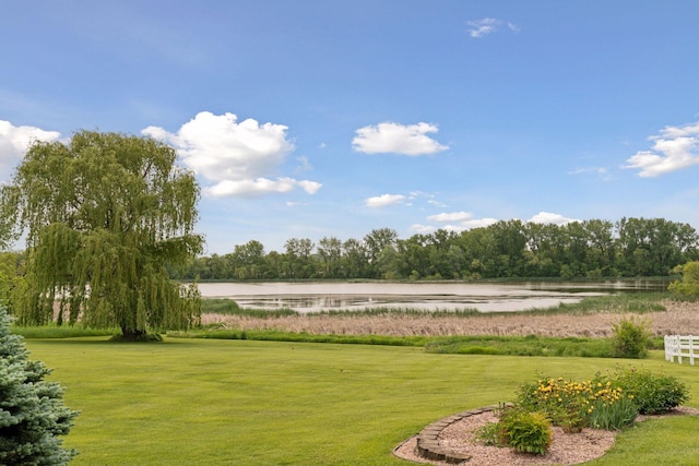 13380 Willandale Rd, Rogers, MN 55374 - view of community featuring a water view and a yard