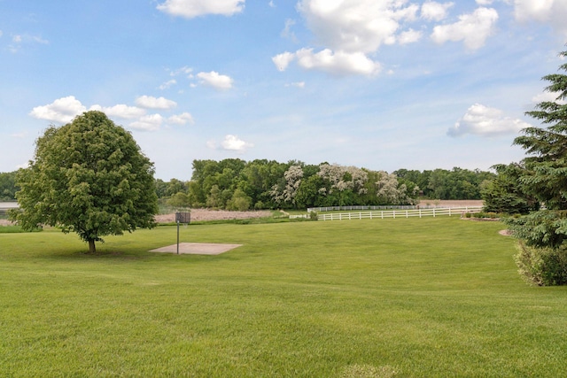 13380 Willandale Rd, Rogers, MN 55374 - view of yard