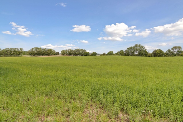 13380 Willandale Rd, Rogers, MN 55374 - view of undeveloped land with rural landscape