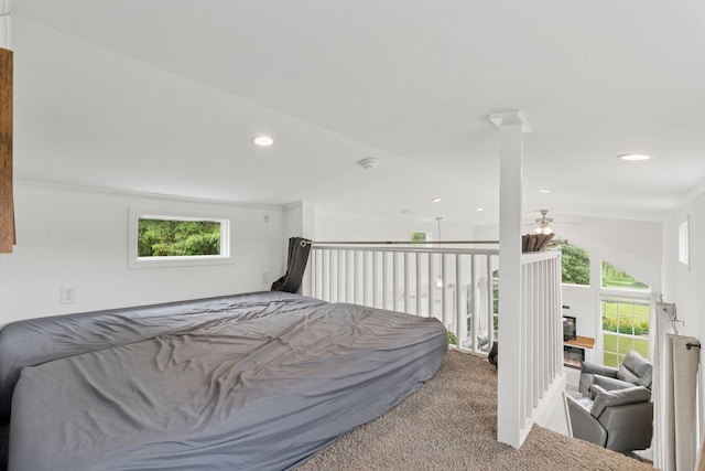 13380 Willandale Rd, Rogers, MN 55374 - bedroom with carpet flooring, multiple windows, recessed lighting, and access to outside