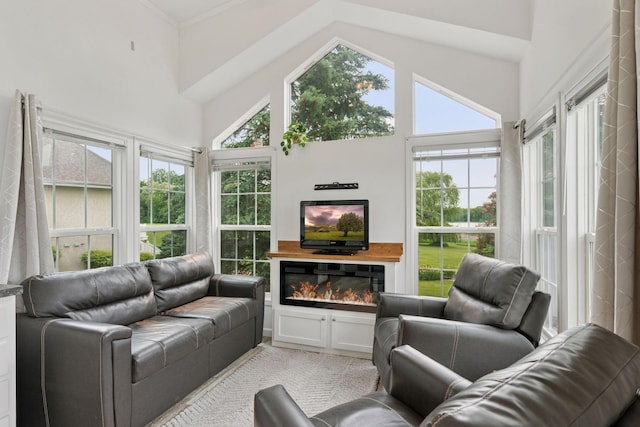 13380 Willandale Rd, Rogers, MN 55374 - living room with a towering ceiling