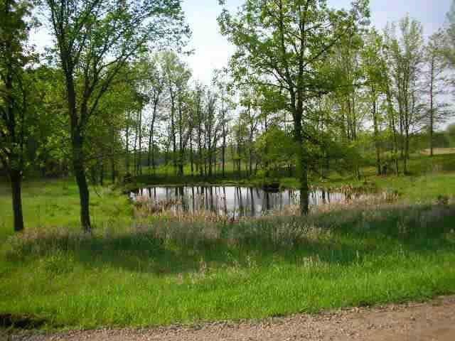 29366 Meadow Cir, Laporte MN, 56461 land for sale