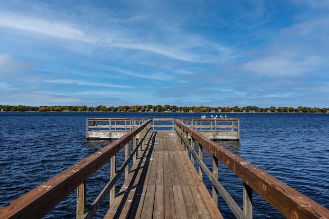 dock area with a water view