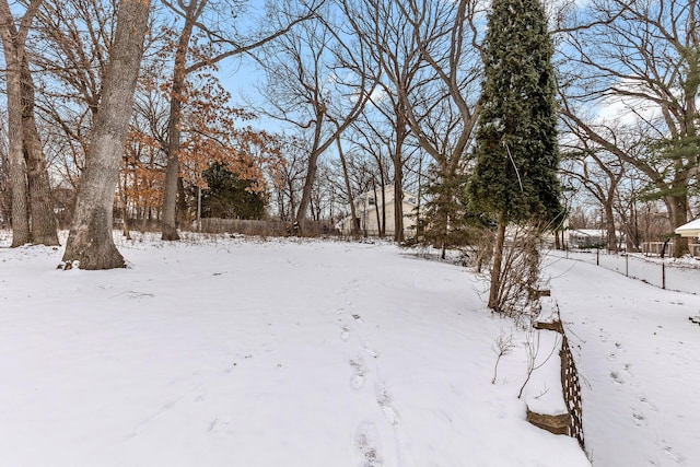 view of snowy yard