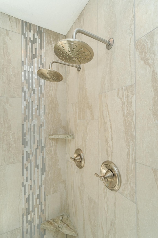 room details featuring tiled shower