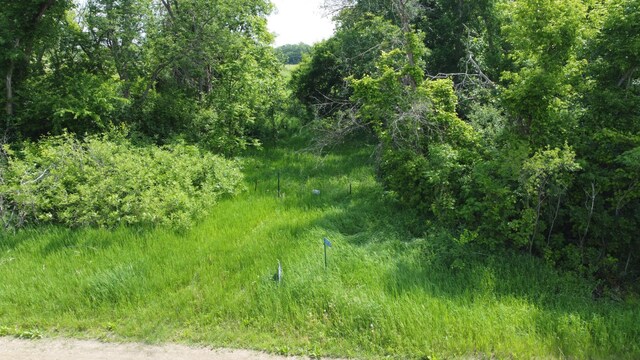 20710 Oakdale Rd, Tordenskjold Twp, MN 56586 - photo 5