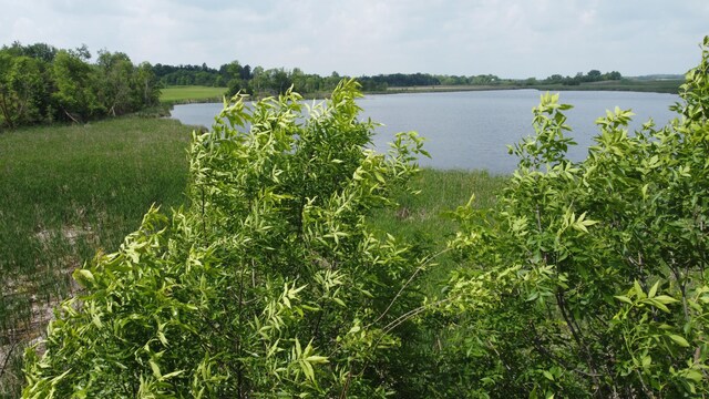 20710 Oakdale Rd, Tordenskjold Twp, MN 56586 - photo 10