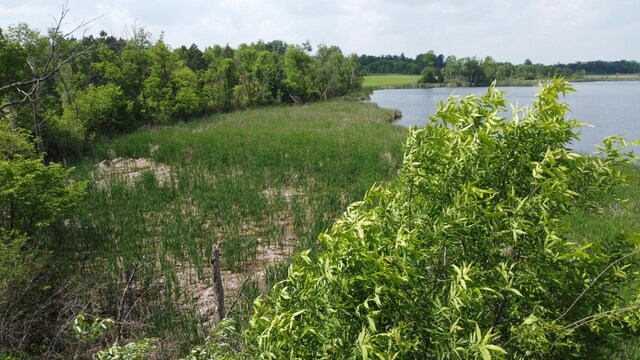 20710 Oakdale Rd, Tordenskjold Twp, MN 56586 - photo 11