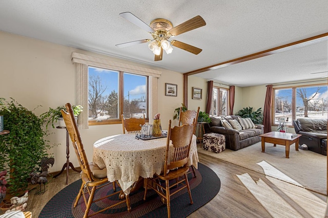 dining room featuring a textured ceiling, ceiling fan, and light wood-style floors