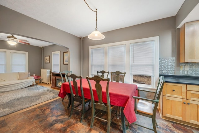 1001 Humboldt Ave W, Saint Paul, MN 55118 - dining area featuring radiator, a ceiling fan, and arched walkways