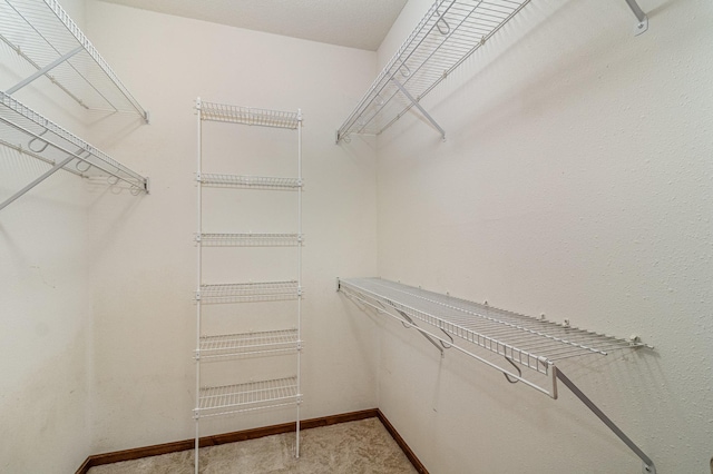 spacious closet featuring carpet floors