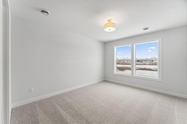4870 127th Ln NE, Blaine, MN 55449 - spare room featuring light carpet, baseboards, and a textured ceiling
