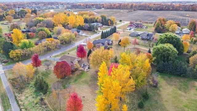 drone / aerial view