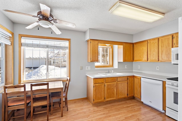 kitchen featuring white appliances, light countertops, a sink, and light wood-style flooring