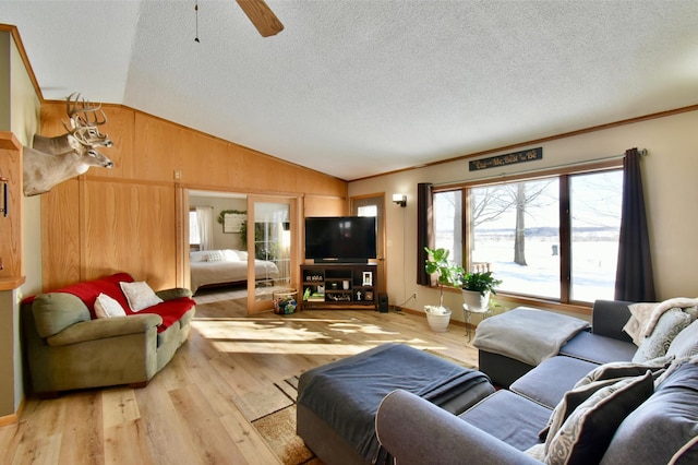 19241 Ebony Rd, Osakis, MN 56360 - living area with vaulted ceiling, plenty of natural light, light wood-style floors, wood walls, and a ceiling fan
