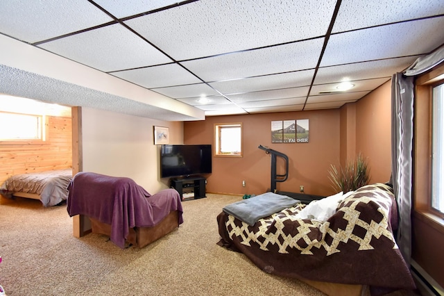 19241 Ebony Rd, Osakis, MN 56360 - carpeted living area featuring a paneled ceiling and baseboard heating
