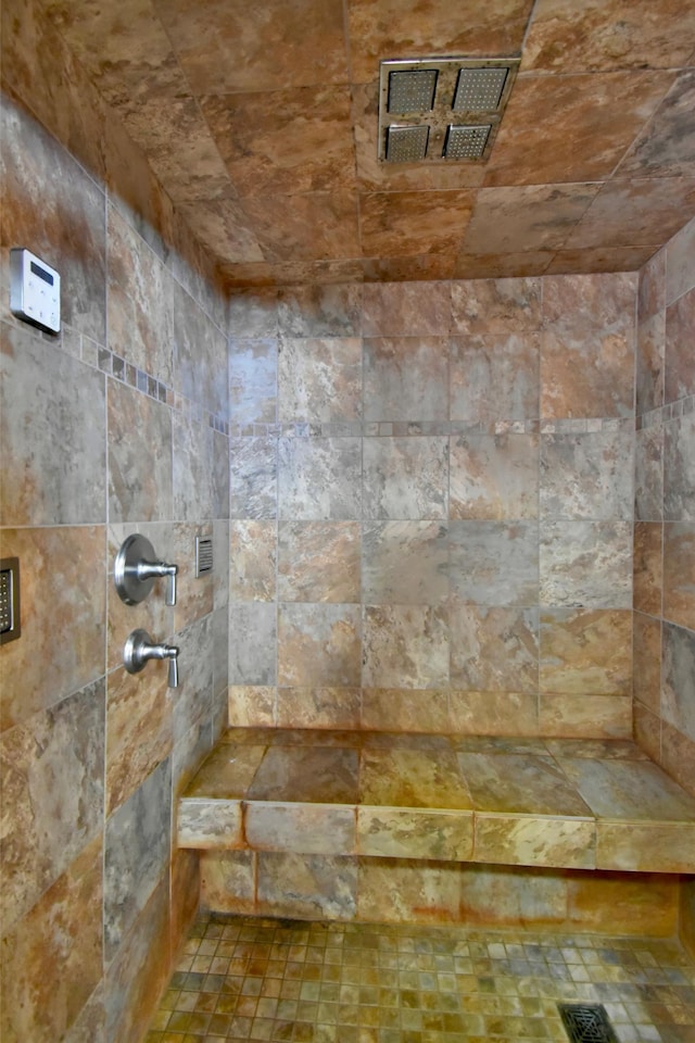 19241 Ebony Rd, Osakis, MN 56360 - bathroom with tiled shower