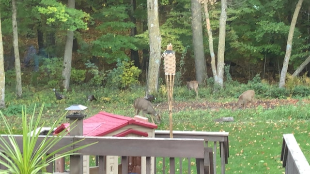 19241 Ebony Rd, Osakis, MN 56360 - view of yard