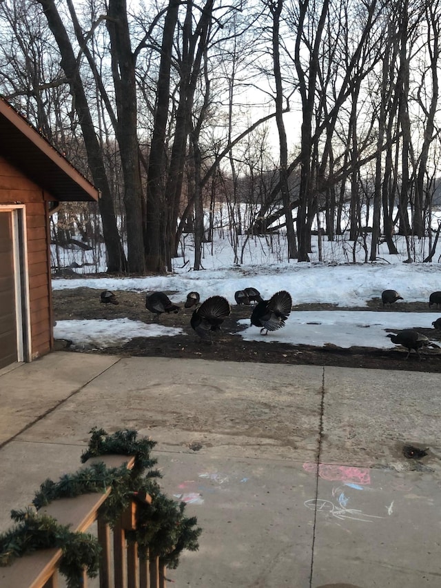 19241 Ebony Rd, Osakis, MN 56360 - view of snowy yard