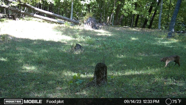 19241 Ebony Rd, Osakis, MN 56360 - view of local wilderness