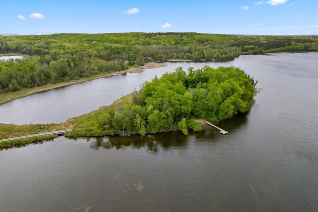 bird's eye view featuring a forest view and a water view
