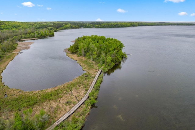 drone / aerial view featuring a view of trees and a water view