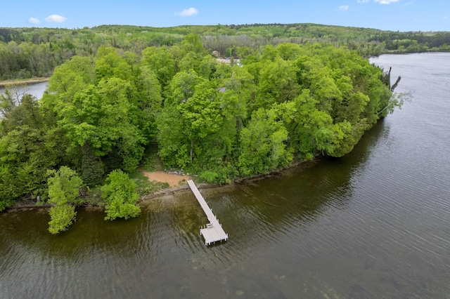 birds eye view of property with a view of trees and a water view