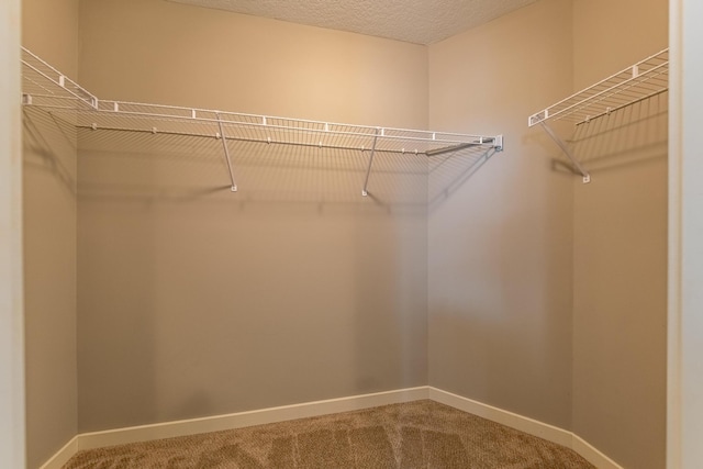 spacious closet with carpet floors