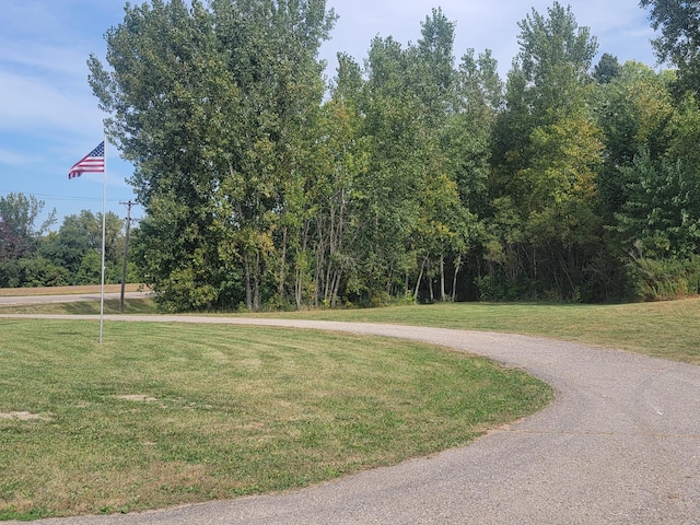 view of community featuring a lawn