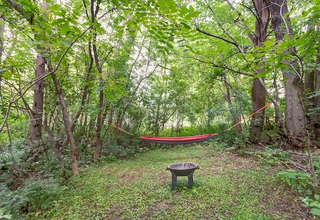 view of yard featuring an outdoor fire pit