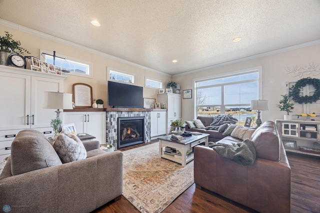 living room with a wealth of natural light, a fireplace, ornamental molding, and dark wood finished floors