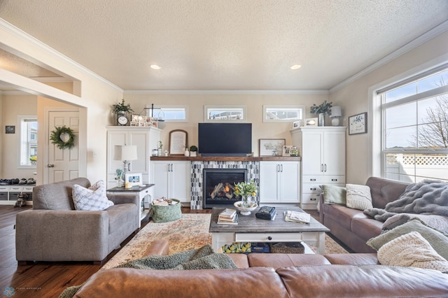 living room with a fireplace, dark wood-style floors, crown molding, and a textured ceiling