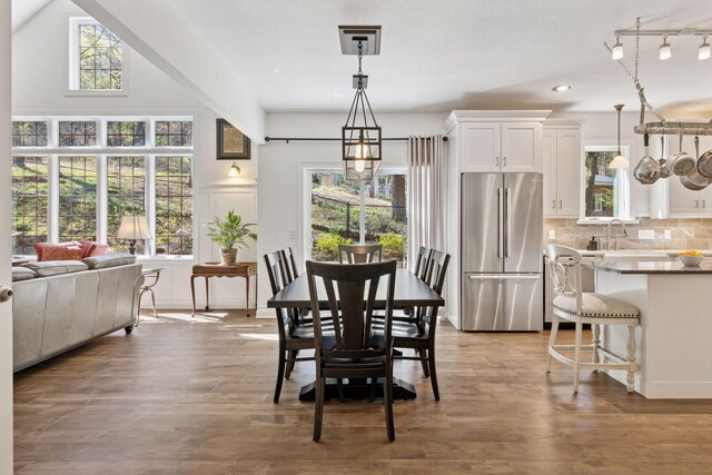 dining room with healthy amount of natural light, wood finished floors, and rail lighting
