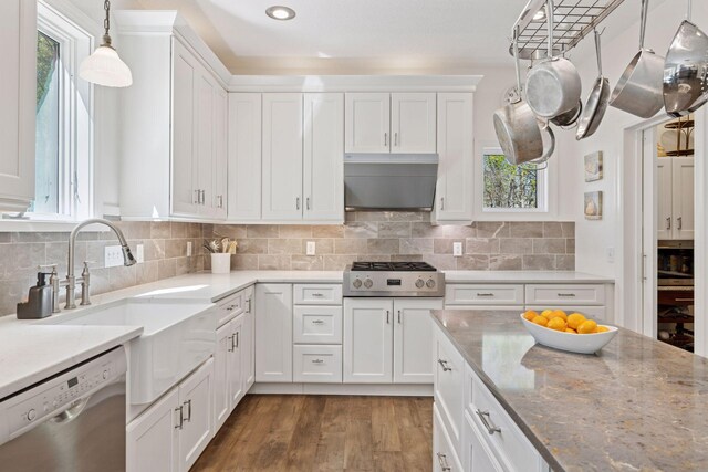 kitchen featuring stainless steel appliances, range hood, healthy amount of natural light, white cabinets, and recessed lighting
