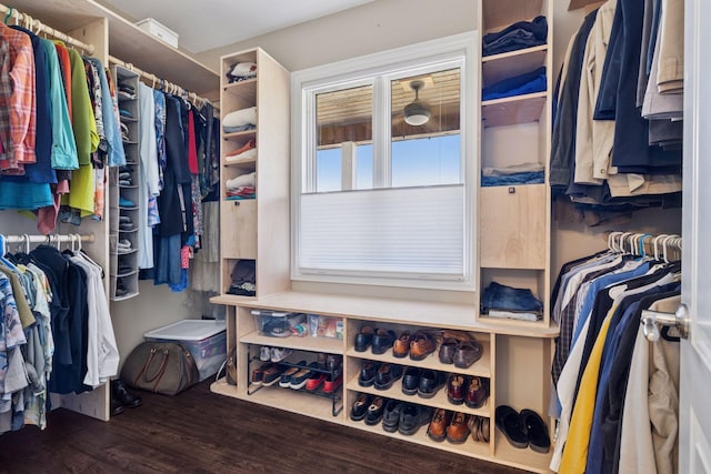 spacious closet with wood finished floors