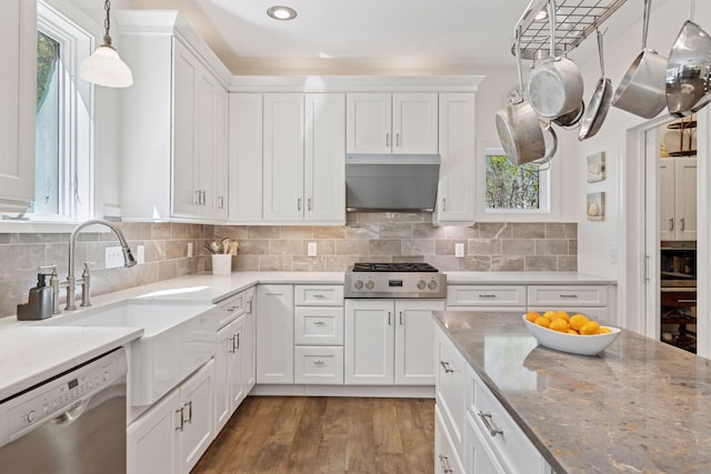 1067 Pioneer Rd, Red Wing, MN 55066 - kitchen with stainless steel dishwasher, exhaust hood, healthy amount of natural light, gas stovetop, and recessed lighting