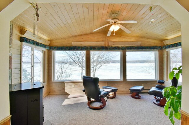 10741 Alcott Dr, Sauk Centre, MN 56378 - photo 12