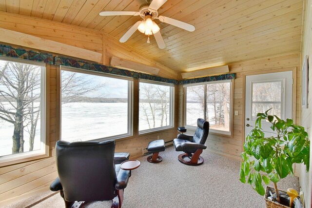 10741 Alcott Dr, Sauk Centre, MN 56378 - photo 13
