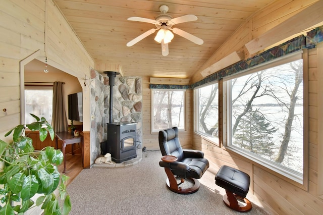 10741 Alcott Dr, Sauk Centre, MN 56378 - photo 14