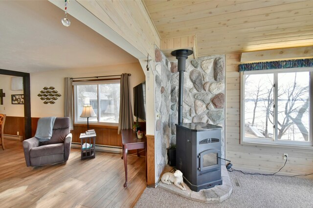 10741 Alcott Dr, Sauk Centre, MN 56378 - photo 15