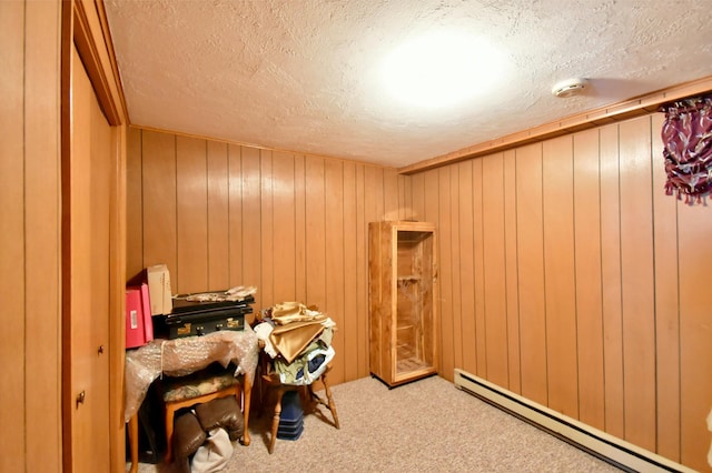 10741 Alcott Dr, Sauk Centre, MN 56378 - photo 41