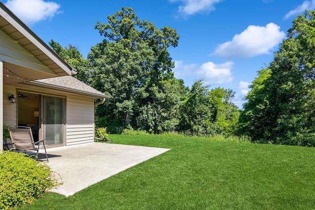 672 Hi Park Ave, Red Wing, MN 55066 - photo 7