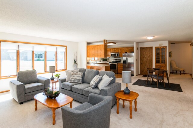 672 Hi Park Ave, Red Wing, MN 55066 - photo 17