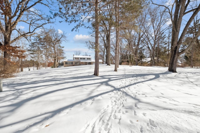 view of yard covered in snow