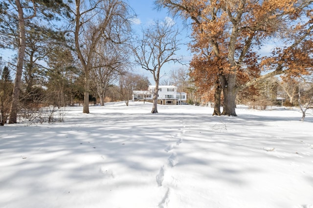 view of snowy yard