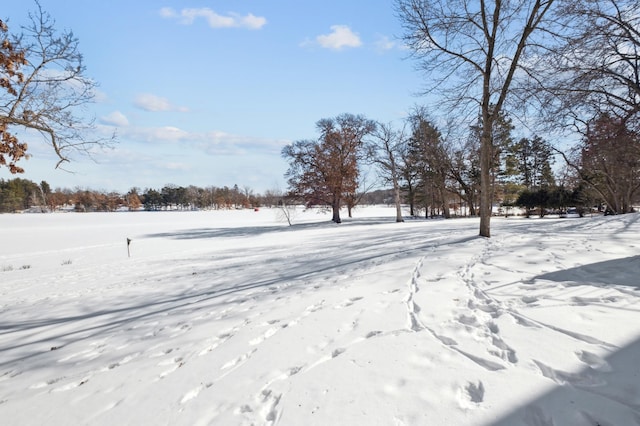 view of yard layered in snow