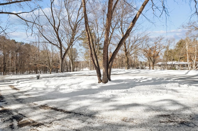 view of yard covered in snow